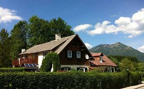 Haus Tulpe